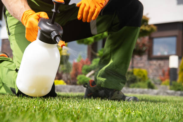 Best Residential Pest Control  in Priest River, ID