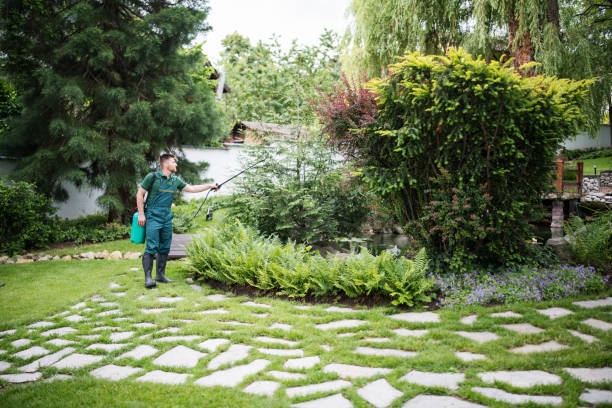 Best Best Pest Control Companies  in Priest River, ID