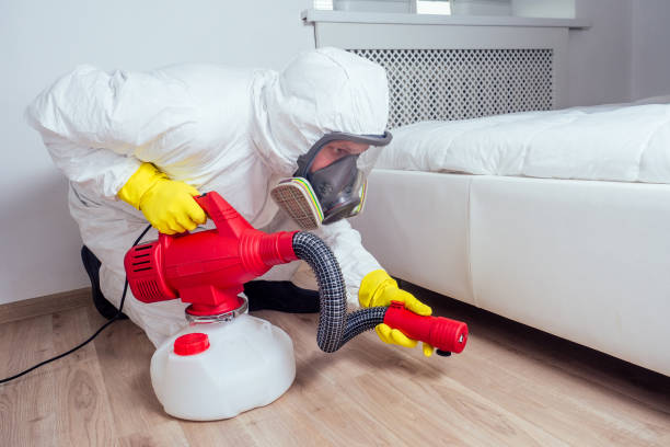 Best Pest Removal Services  in Priest River, ID