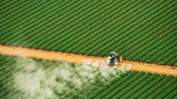 Best Mosquito Control Services  in Priest River, ID