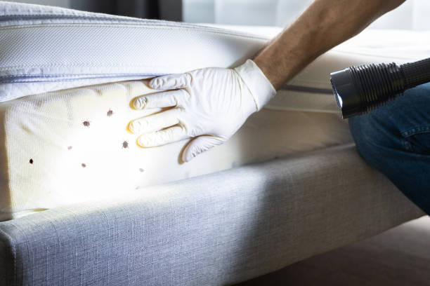 Best Commercial Pest Control Services  in Priest River, ID