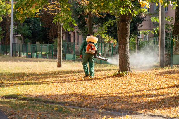 Best Best Pest Control Companies  in Priest River, ID